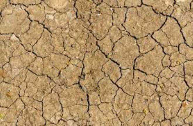 TapNewsAgency's tweet photo. #Tunisia: October 2022 was 2nd driest month after October 1960, as the total rainfall amounted to 92.8 mm, or 9% of the month's normal precipitation (835 mm) and a rainfall deficit of 90%, said the #INM, adding  it was also 8th hottest October since 1950. https://t.co/ncxlMRQekr https://t.co/Af2Mhol6jD