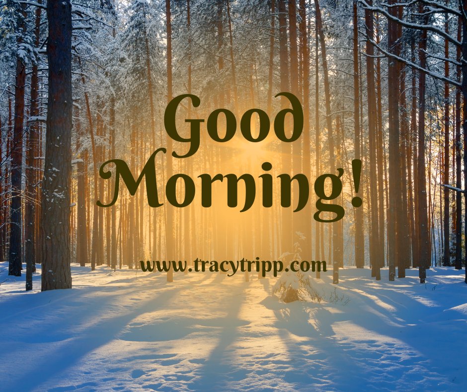 trippst5's tweet image. To learn more about my books visit tracytripp.com. 
#crimefiction #fiction #15pages