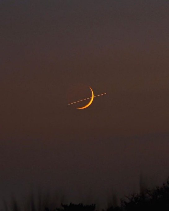 Space_Hub tweet media