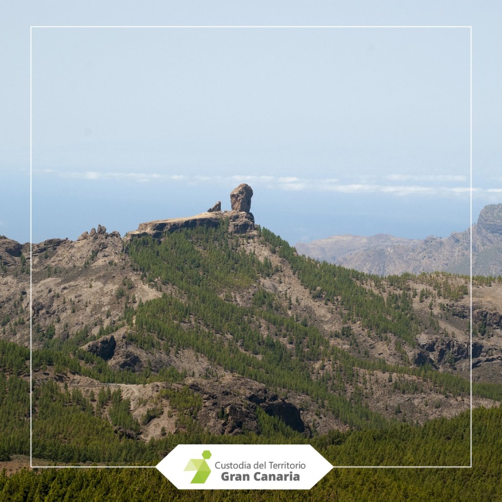 Custodia_GC's tweet photo. Custodia del Territorio es un proyecto que promueve la conservación de la naturaleza y la biodiversidad. Lo hace mediante acuerdos con entidades públicas o privadas. Con el objetivo de impulsar el uso de los recursos naturales, culturales y paisajísticos.🏞️ https://t.co/gM94auqAWh