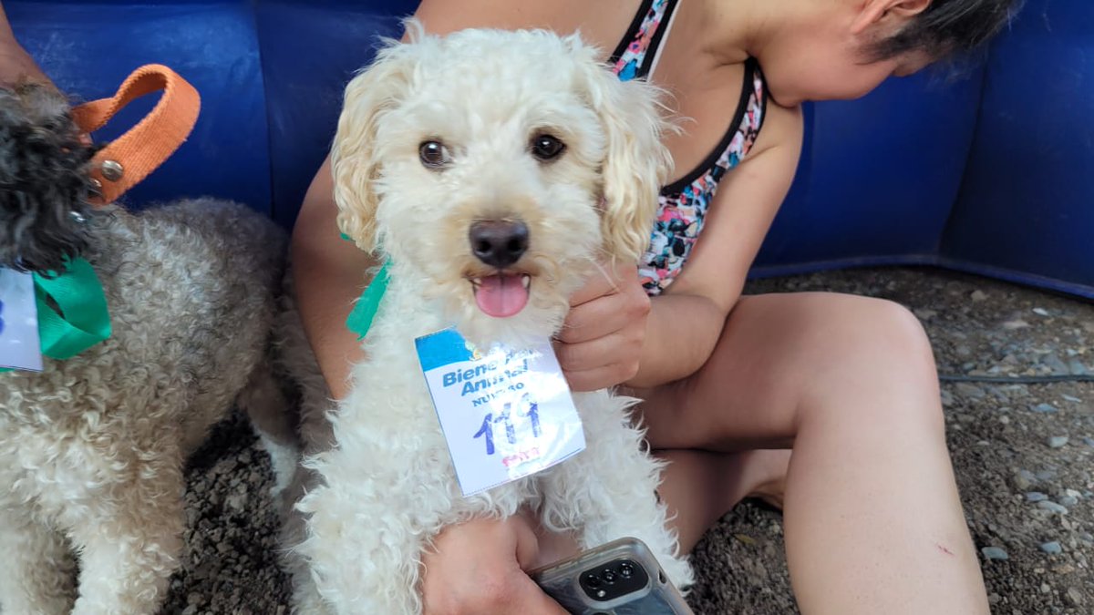 Municipalidad Salta tweet media