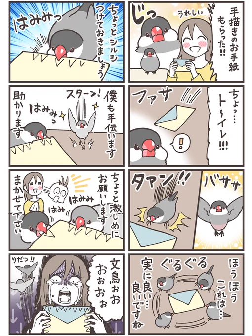 手紙ハンター文鳥✉️

#漫画がよめるハッシュタグ 