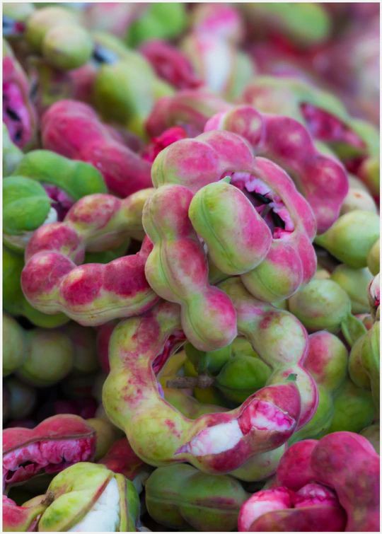 Shiwani Pandey tweet media