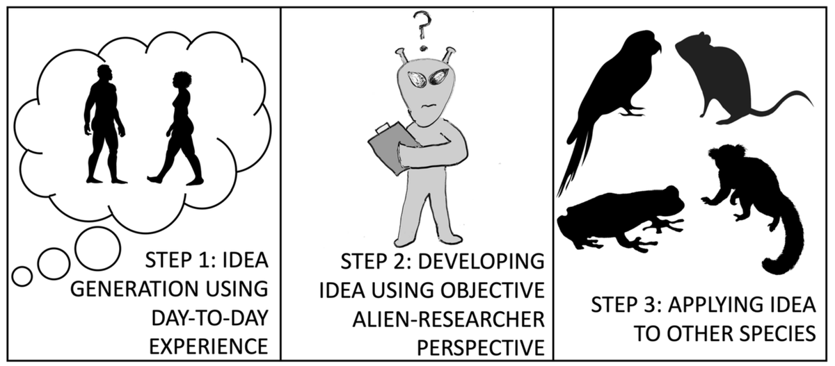 We can learn a lot about human cognition by comparing our own species to other species to understand how and when human cognitive traits came about. But if we are careful to avoid anthropomorphism we can learn a lot about other animals from humans too: rdcu.be/c2mGN