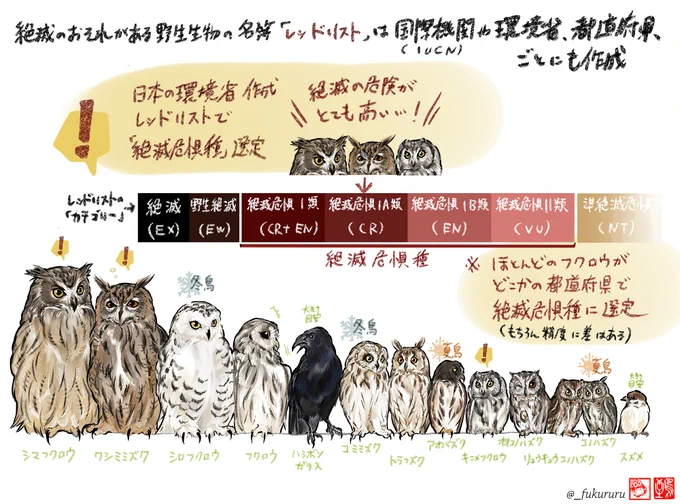 #2022年自分が選ぶ今年の4枚 #今年も残りわずかなのでお気に入りの4枚を貼る 今年もフクロウ沢山見ていただいてありがとうございました〜!来年もフクロウをいっぱい描くぞ〜良いお年を!! 