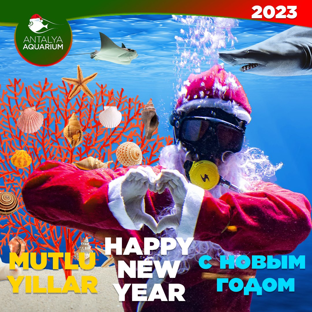 MUTLU YILLAR🎊
HAPPY NEW YEAR🎉
с новым годом🎊
Yüzünüzü aydınlatacak, yeni keşifler ve ilhamla dolu mutlu bir yeni yıl diliyoruz.