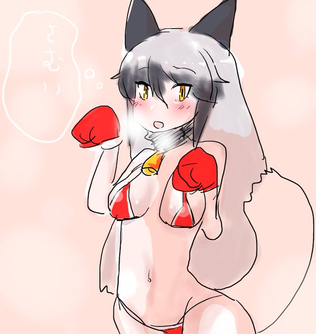 さむいギンギツネ 