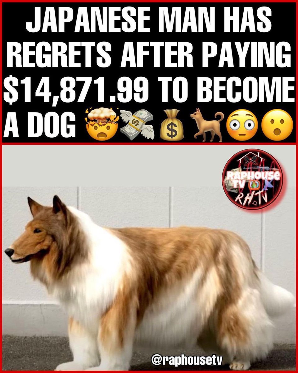 Raphousetv (RHTV) tweet media