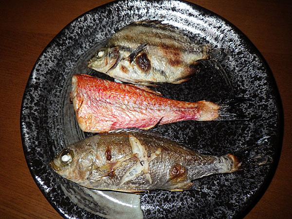 シタビラメ Twitter Search Twitter