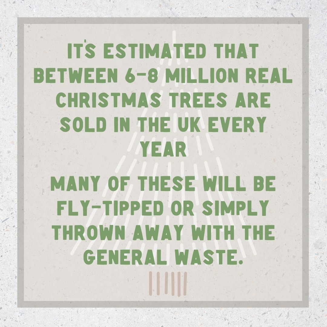 Open Kitchen tweet media