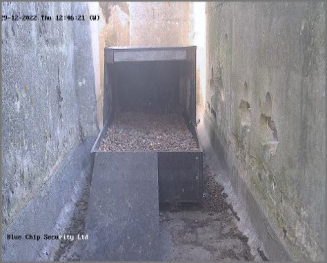 @WildMarlow tweet media