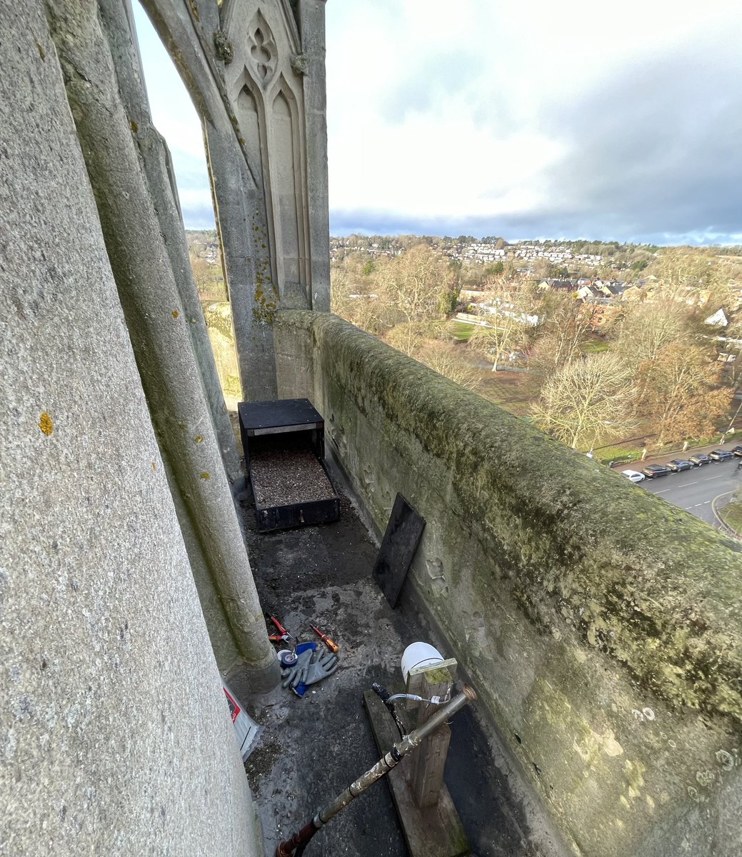 @WildMarlow tweet media