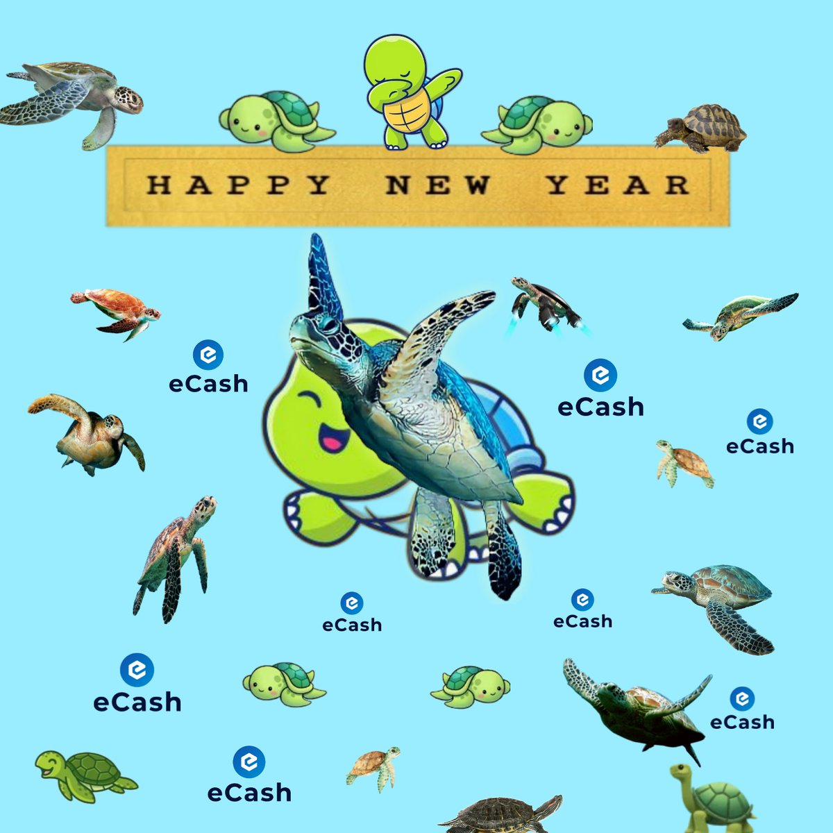 TurtleCash tweet media