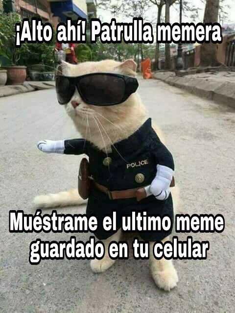 David BS Apuestas🔥 tweet media
