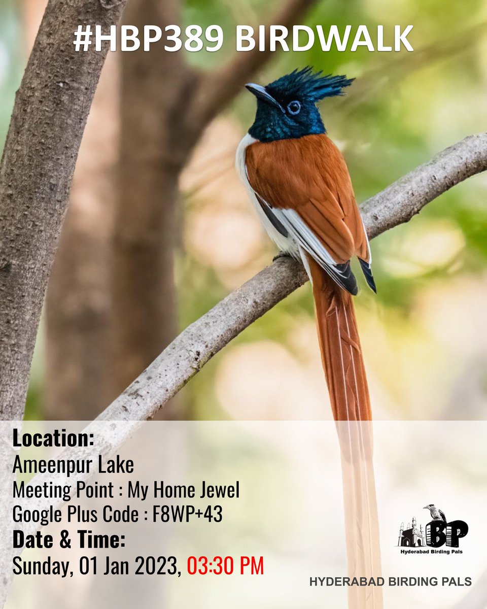 #HBP389 Birdwalk at #Ameenpur on 1st Jan 2023 3:30PM

#Ameenpurbirdwalk
#telanganabirdinghotspots
#HBPBirdwalk
#sundaybirdwalks
#birding
#birdinghobby
#hyderabadbirdingpals
#birdwalks
#groupphoto
#birdphotography
#birdphotographers
#birdwatchers
#birdwatchinghobby
#birdwatching