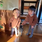ツイートに含まれる画像