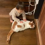 ツイートに含まれる画像