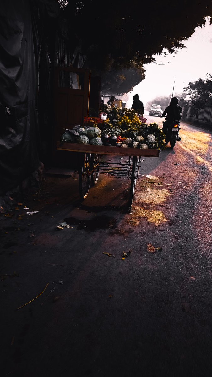 Everything has beauty, but not everyone sees it.
.
.
.
#photooftheday #photography #streetphotography #photography📷 #streetphotograph #streetphotos #indianstreet #Lucknow #photos #cityofnawabs #photoindia #photographylovers #sun