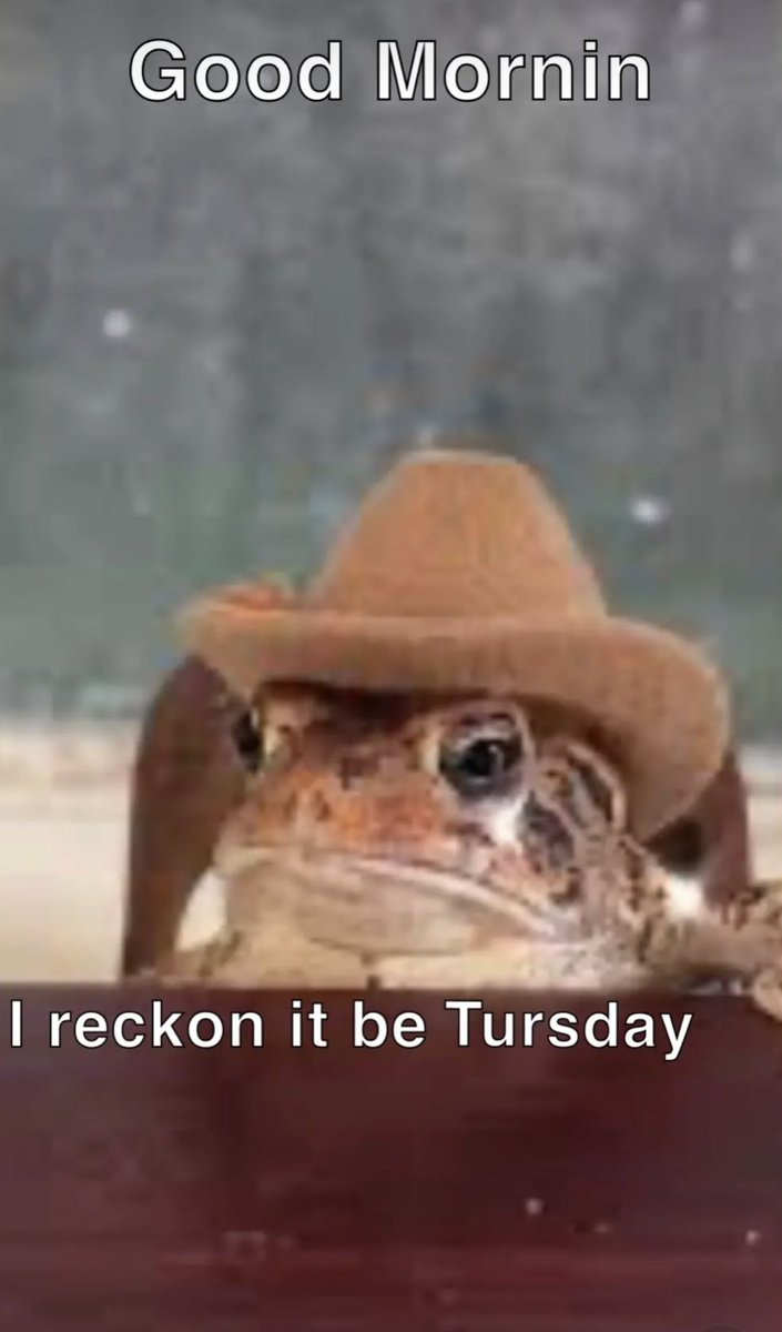 𝔅𝔲𝔩𝔩𝔦𝔱 ✧ tweet media