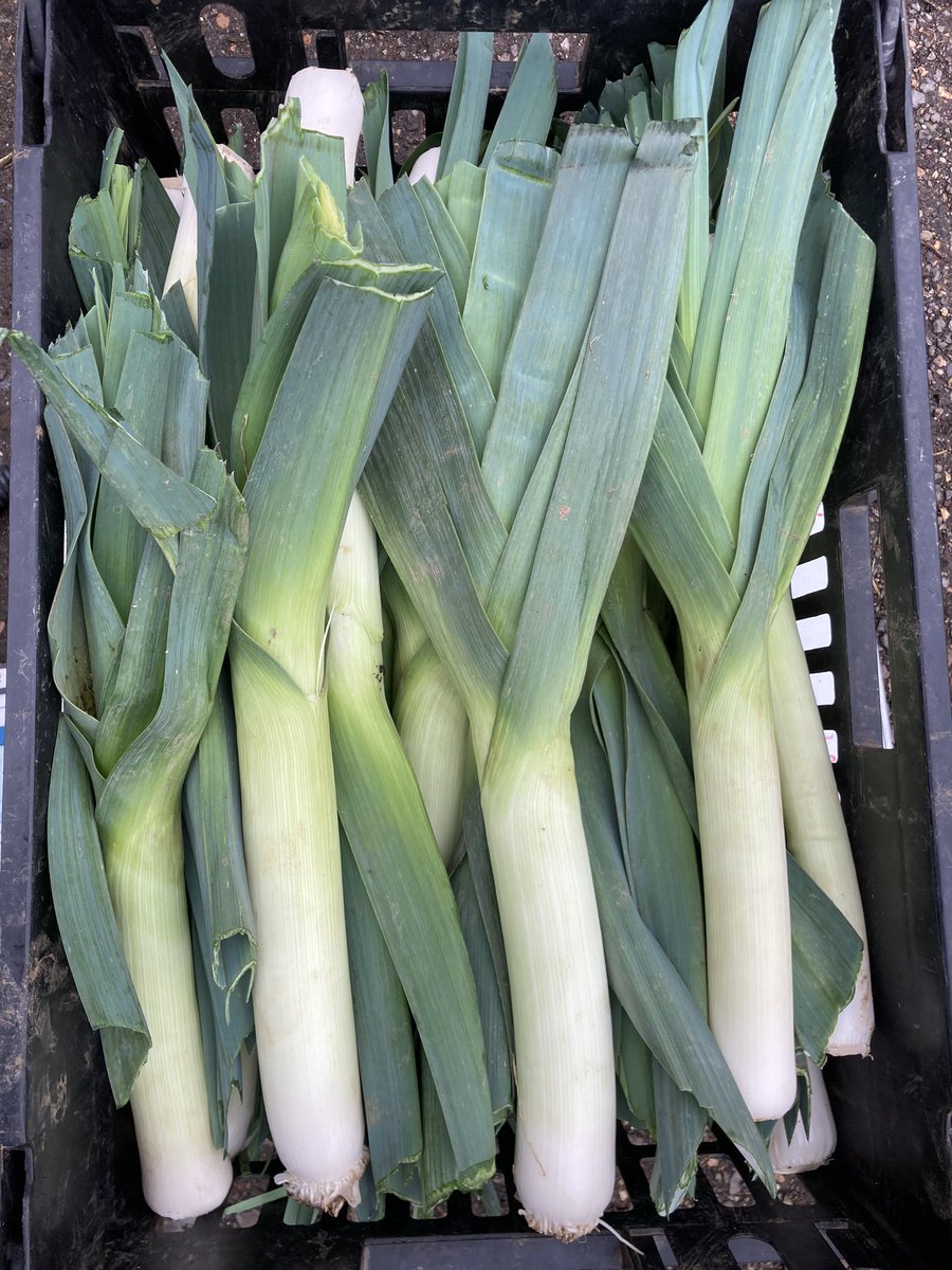 JOB ALERT! We’re looking for a Veg Bag Administrator to join our team in 2023. If you like fresh seasonal organic veg and know a thing or two about spreadsheets then this is the job for you! Based <a href="/fortyhallfarm/">Forty Hall Farm</a> in #Enfield.To apply visit capel.ac.uk/vacancies. Deadline 4th Jan