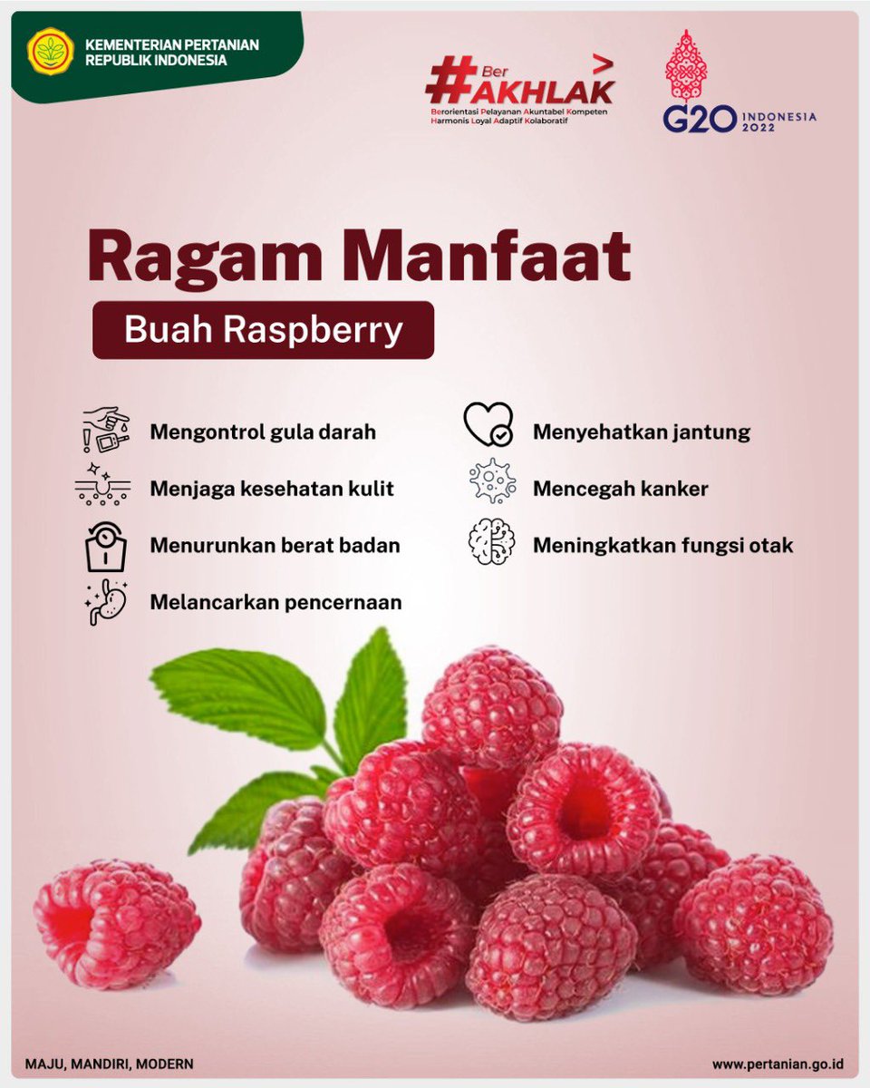 kementan's tweet photo. SobaTani, konsumsi buah itu penting karena sarat serat dan vitamin yang pastinya bermanfaat bagi kesehatan. Berikut MinTani share ragam manfaat buah raspberry. Semoga menjadi penyemangat kamu untuk rajin mengonsumsi buah ya. https://t.co/zQLqMqQmU4