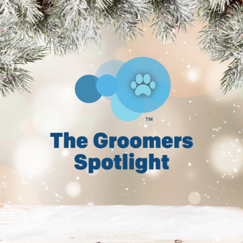 Forgot to send this at the start of December on Socials. So here is your catch up newsletter. Sorry! New Year, New Newsletter coming soon. 
conta.cc/3EGpQlR
conta.cc/3jDD10k