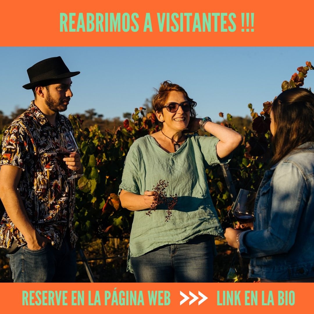 Finalmente!!! Después de tanto tiempo, volvimos a abrir para recibirte!

Venga a vernos en #Casablanca, y descubrir los secretos del porque nuestros vinos son tan especiales.

Reserve por la página en attiliomochi.com/tours

👀 No tenemos "puertas abiertas", todo es con reserva.
