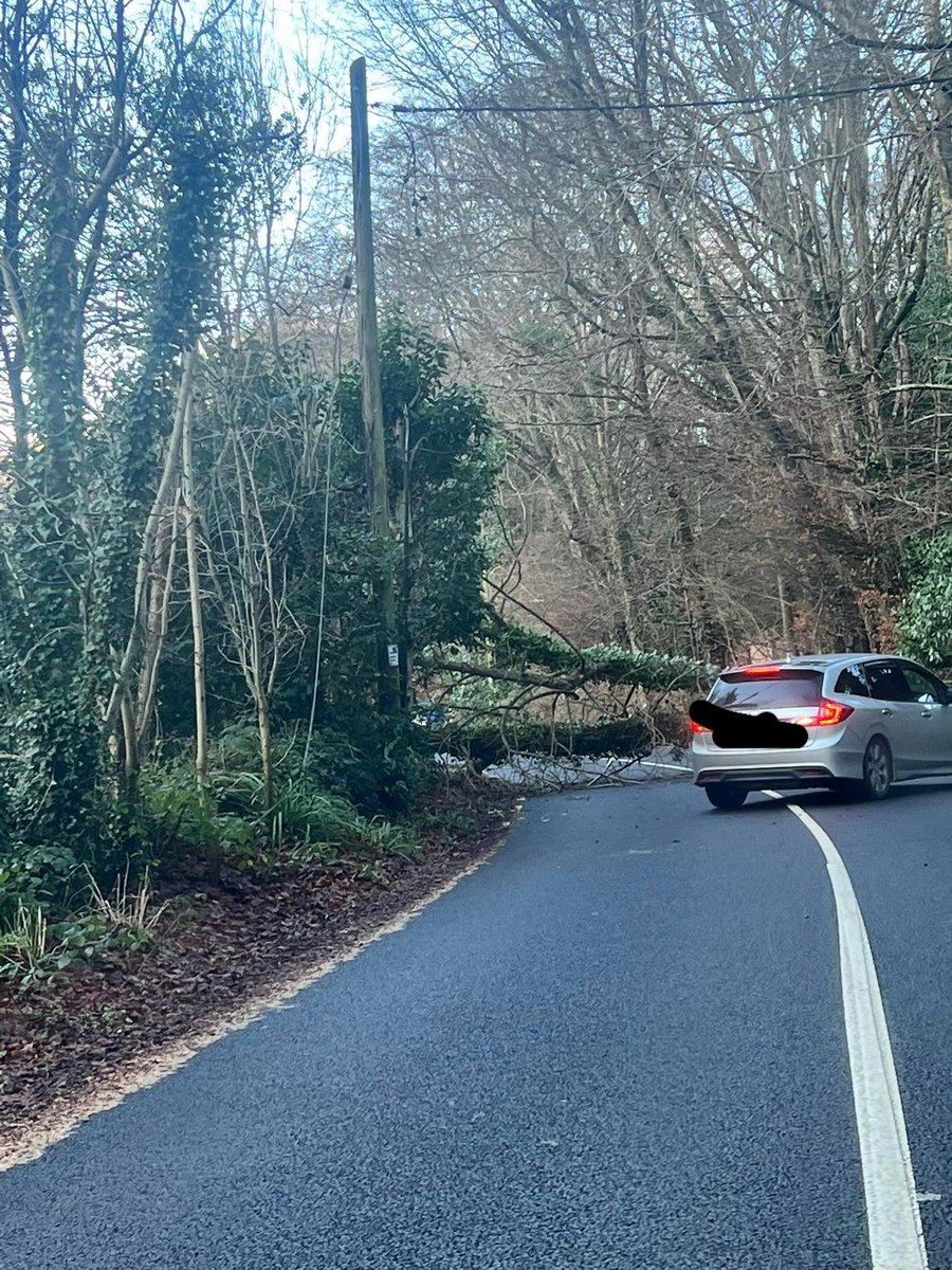 CorkSafetyAlert's tweet photo. #CorkTraffic Reports of a tree down, between Bandon and Kilbrittain. Take care on approach. https://t.co/kW4Kprueek