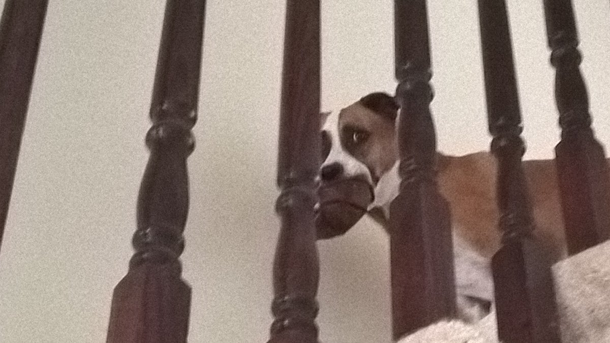 Who wants to play some football?