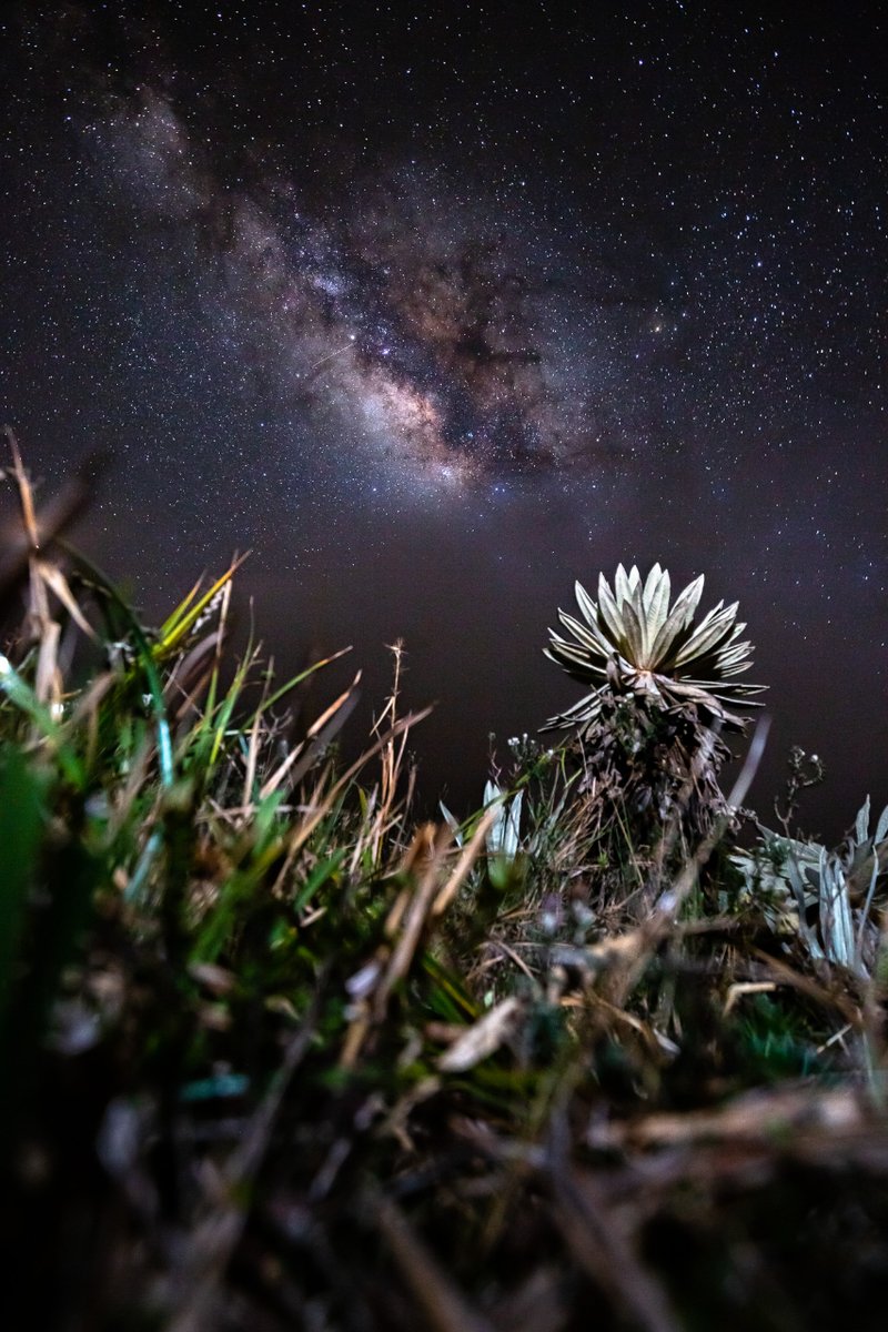 inst_humboldt tweet picture
