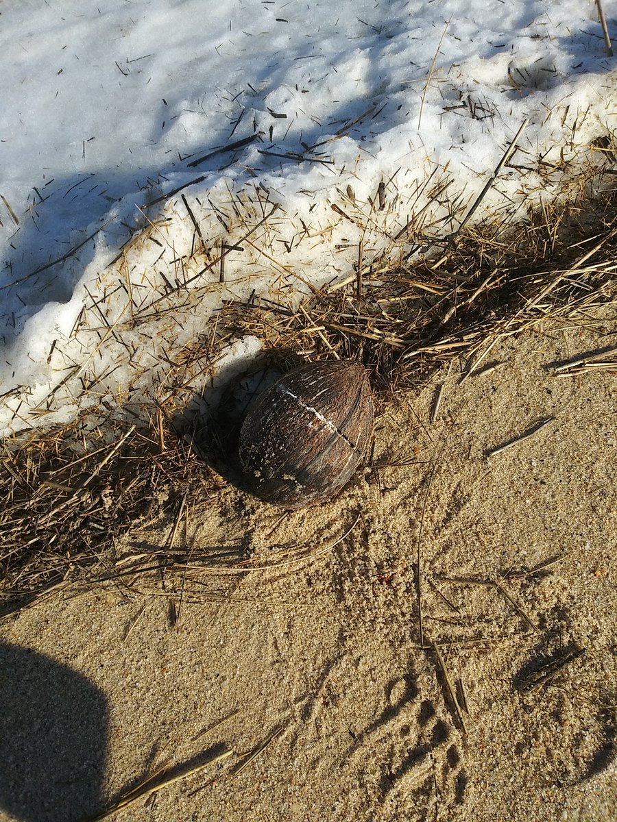 Brian K. Sullivan tweet media