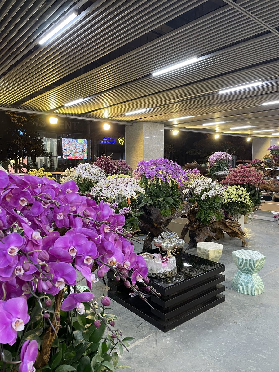 今井淳一ハノイ on Twitter