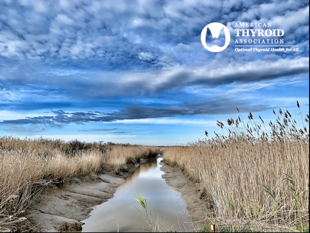 Thyroid Patients tweet media