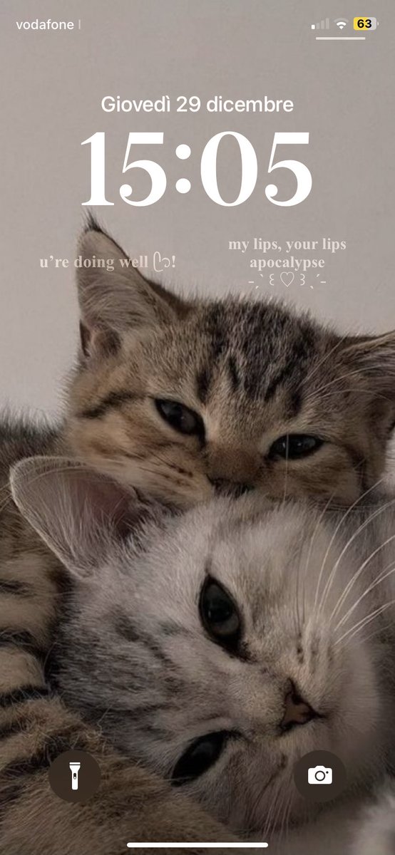 fearlvsschase's tweet photo. @louisbum_ ho un ossessione per i gattini https://t.co/JDf9FWRGda