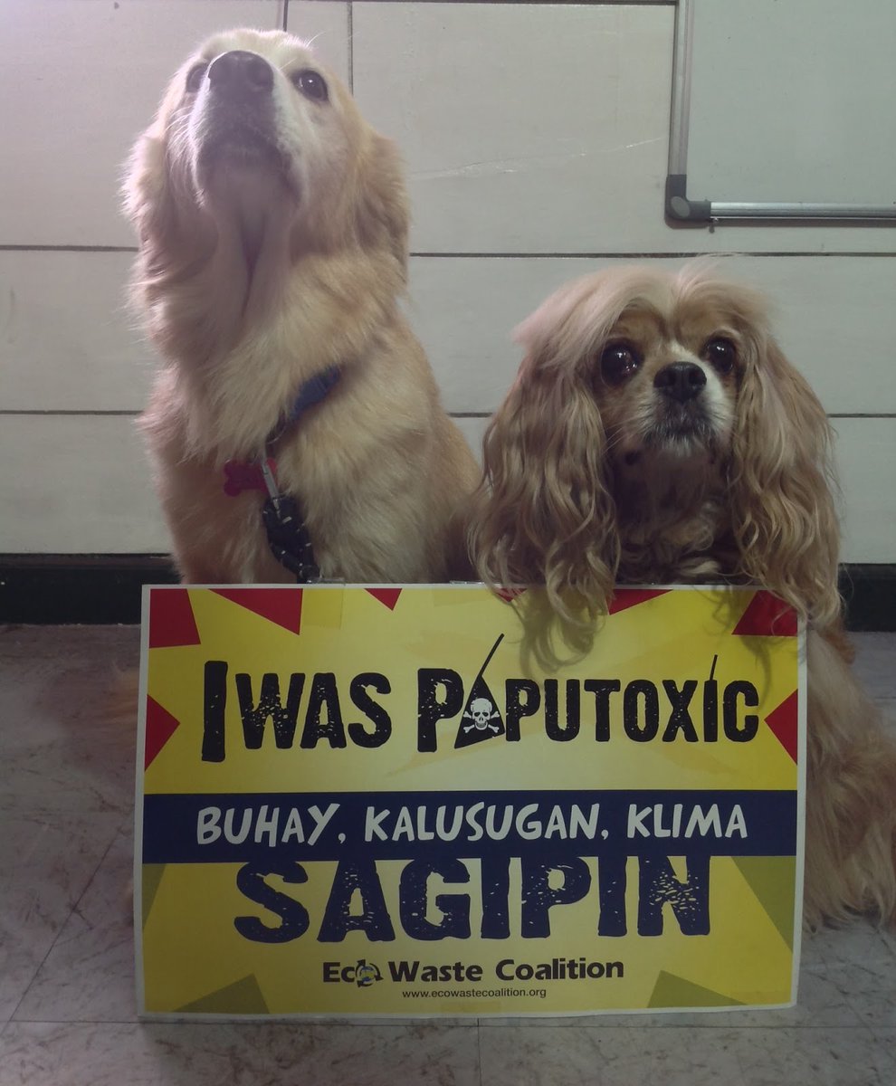 OUR PETS ARE HURT BY FIRECRACKERS AND FIREWORKS, TOO. As we celebrate New Year, let's keep our pets' well-being in mind by avoiding the use of firecrackers and fireworks at home and taking the necessary steps to protect and comfort them. #IwasPaputoxic
