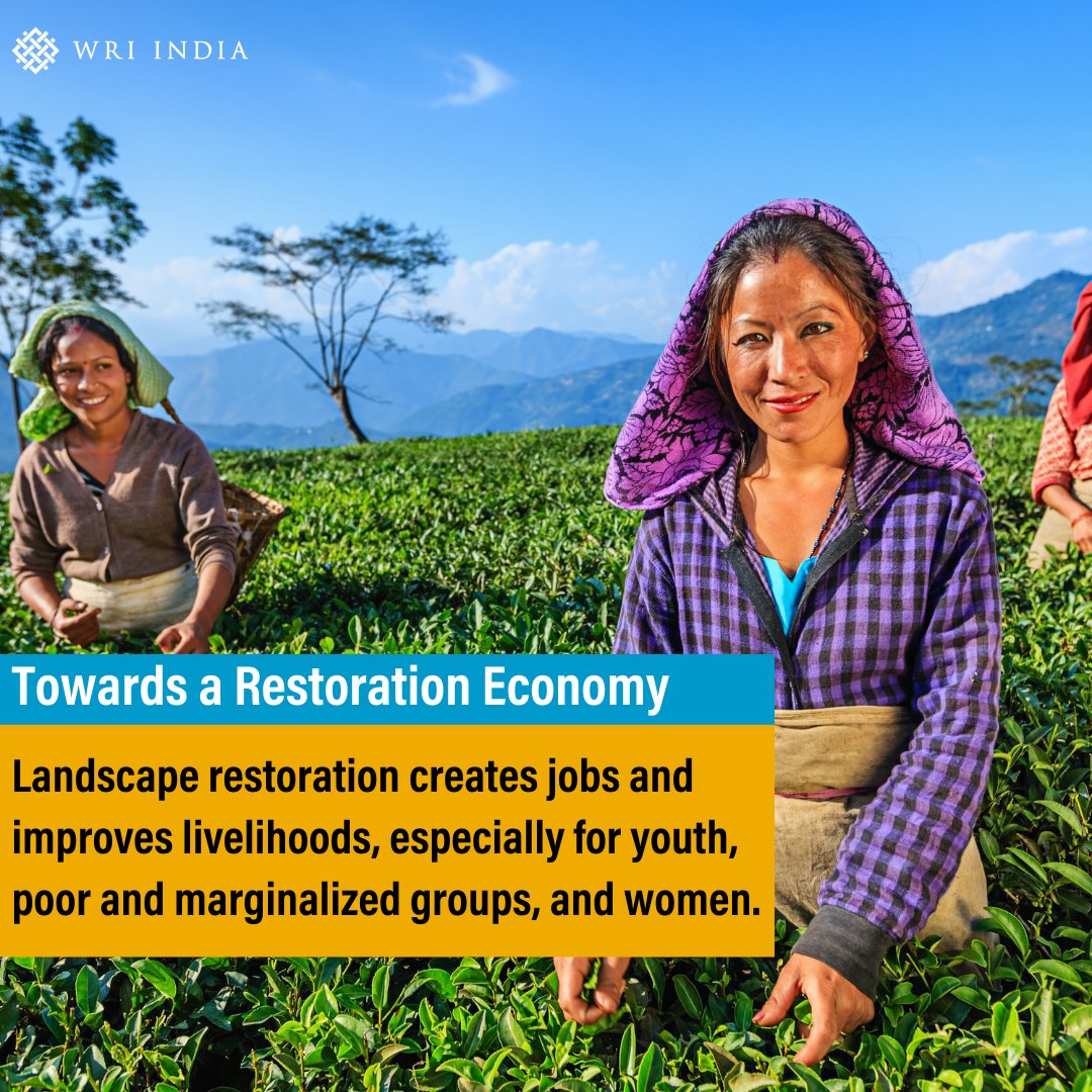 WRIIndia's tweet photo. #WRIIndiaYearender | For @BusinessIndia1, @Kavitashar  and @khamoshrewa wrote about how investing in restoration can drive more inclusive strategies for improving India’s poor and climate-vulnerable districts. #GenerationRestoration
Read:  https://t.co/OO66ewURFr https://t.co/GNceV8BEPA