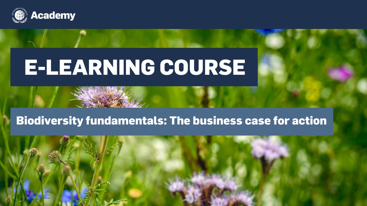 UN Global Compact Network Germany (@globalcompactde) on Twitter photo 🌱 Neuer E-Learning Kurs von <a href="/globalcompact/">UN Global Compact</a> zu dem Thema Biodiversität. Der Kurs zeigt Ihnen die Bedeutung von Biodiversität für Ihr Unternehmen auf und Sie können von den Best Practices anderer Unternehmen lernen. Hier geht's zum Kurs ➡️ bit.ly/3G3rbFi
#UnitingBusiness 🌱 Neuer E-Learning Kurs von <a href="/globalcompact/">UN Global Compact</a> zu dem Thema Biodiversität. Der Kurs zeigt Ihnen die Bedeutung von Biodiversität für Ihr Unternehmen auf und Sie können von den Best Practices anderer Unternehmen lernen. Hier geht's zum Kurs ➡️ bit.ly/3G3rbFi
#UnitingBusiness