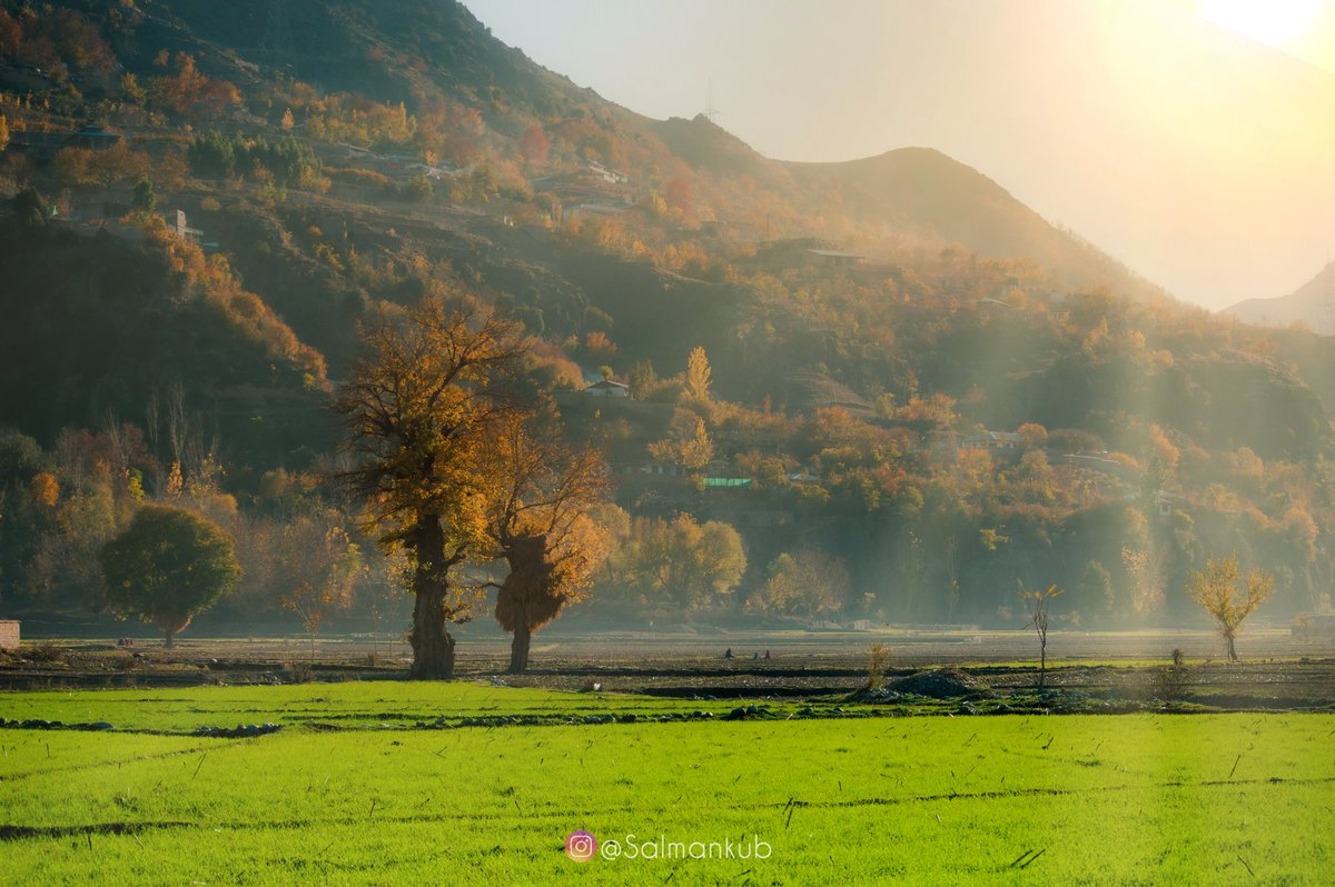 salmankub's tweet photo. Autumn 🍂
📍Chitral lower, Kpk, 🇵🇰
#salmansphotography #salmankub 
#chitral #drosh #droshvalley #kpk #pakistan https://t.co/hbv9gojefh
