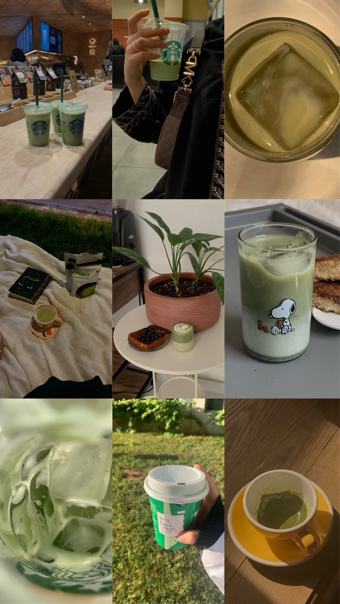 Morningpers0n's tweet photo. كانت سنة مزدهرة و خضراء مثل الماتشا 🍃 https://t.co/qxOyOSC36t