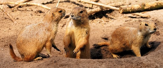 Last post of the year:
facebook.com/profile.php?id…