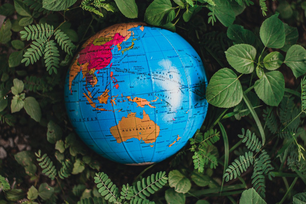 battlefacePlan's tweet photo. Is it finally time for that Middle Eastern adventure? Or maybe South America's calling?
Which region are you planning to explore for the first time in 2023?
Share your travel plans below! π
#travelgoals #travelresolution #travel2023 https://t.co/84O9liprwi