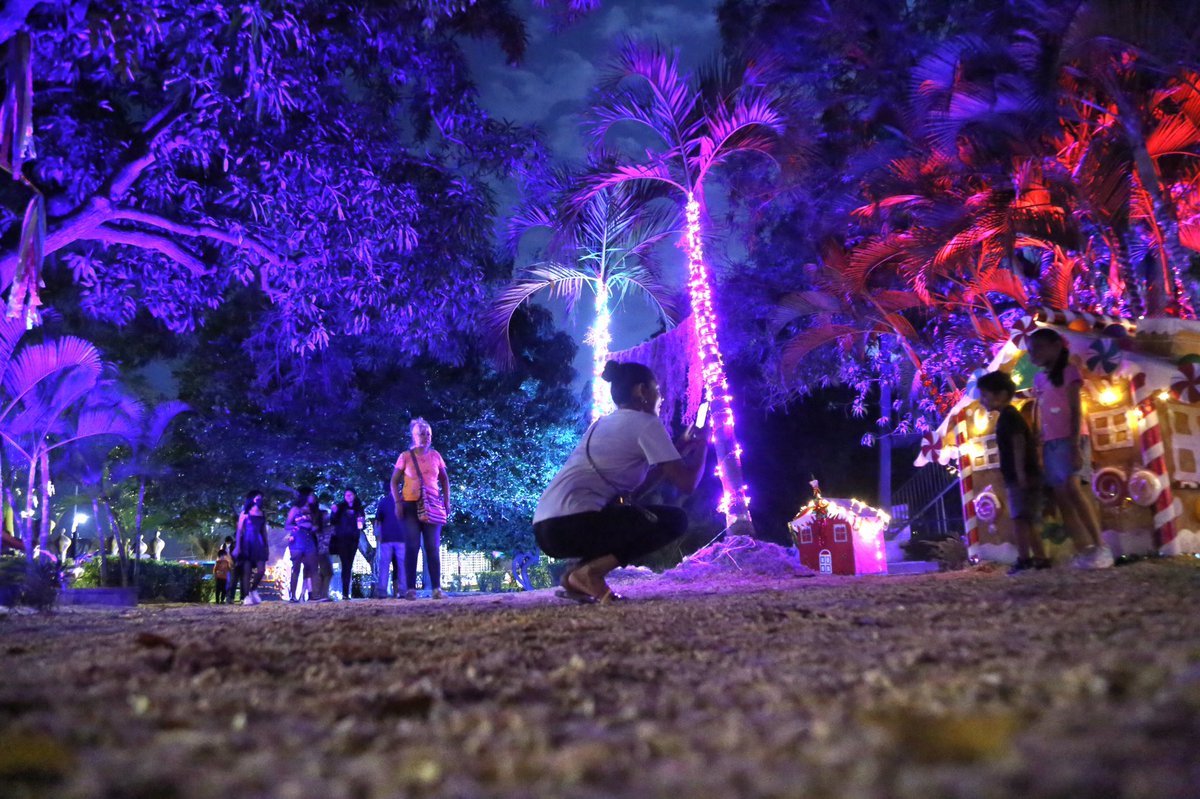 Parque_Papagayo's tweet photo. ¡Por la tarde-noche turistas y acapulqueños vienen a disfrutar de la magia de tú Parque Papagayo!
🙌😍🫶🥰

#transformandotúparquepapagayo https://t.co/CE8jh0zcWb