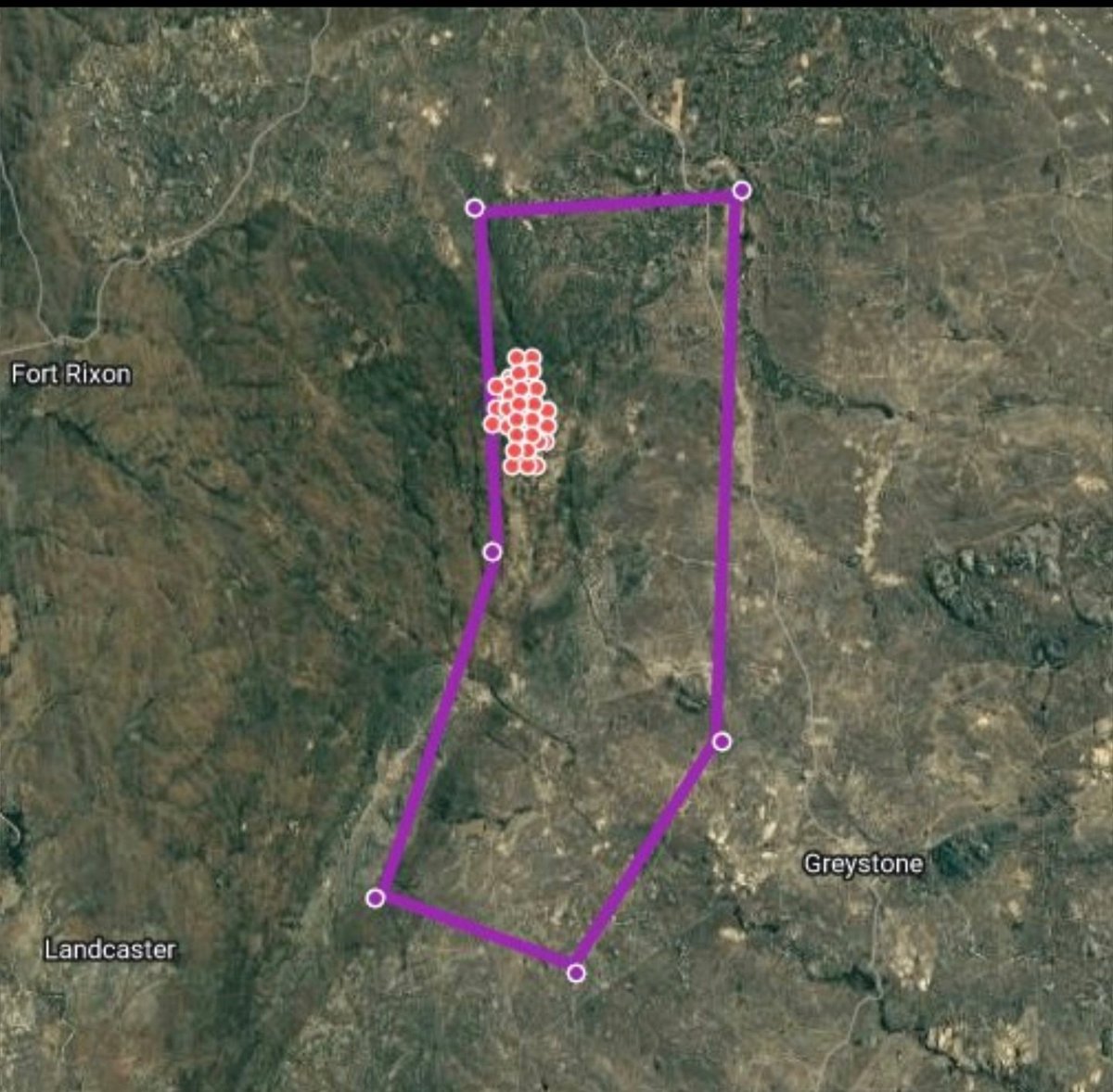 DeadEyeBeaky's tweet photo. #PREM Some perspective going into next year.
We may not have a traditional RUS/DFS, but these are the plotted drillholes to date - all public knowledge.
Our Chinese investors gave tens of millions over this data. 
*Q1 PRODUCTION JUST 7 WEEKS AWAY AND ITS A MONSTER RESOURCE!* https://t.co/QhmiGJJUHc