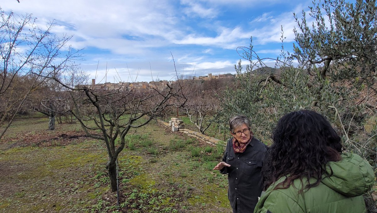 Dipta_cat's tweet photo. Al #Priorat famílies com la de cal Navàs de #Cabaces o la de la Maria Dolors de #Poboleda han conservat arbres fruiters tradicionals de la comarca 🍐🍒. Gràcies a la tasca del consell comarcal dins del #PECT #PoblesViusActius, liderat des de la #Dipta, s'han recuperat. #FonsUECAT https://t.co/7LcFV1kmiL