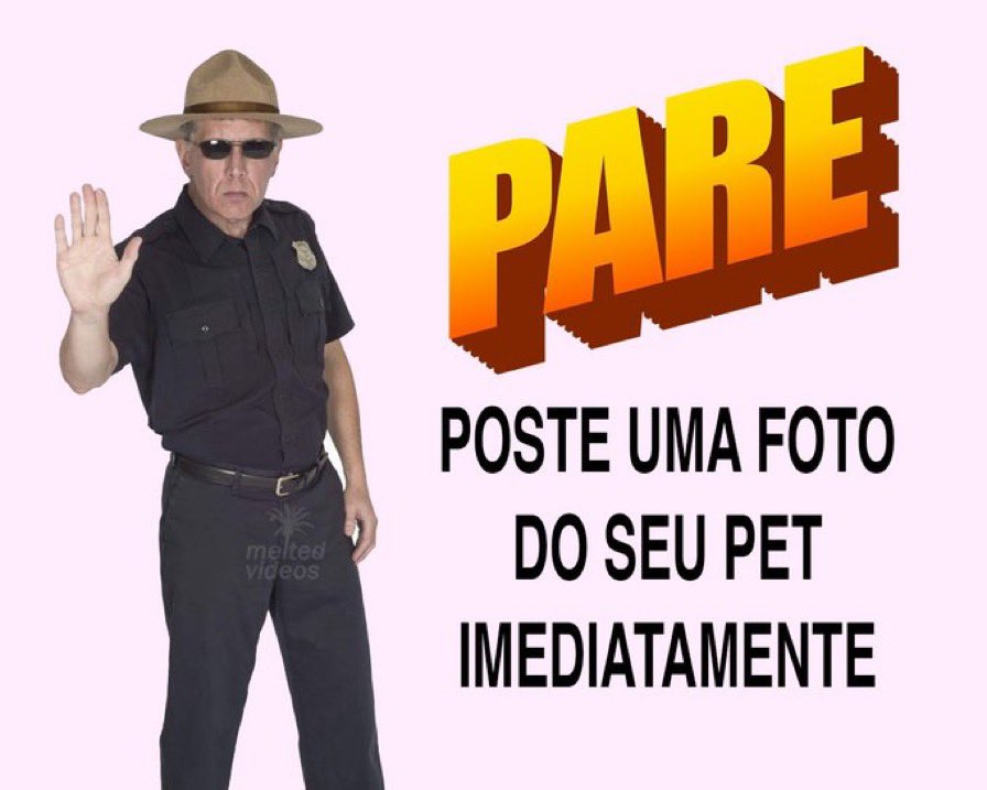 Fre D. Animes tweet media