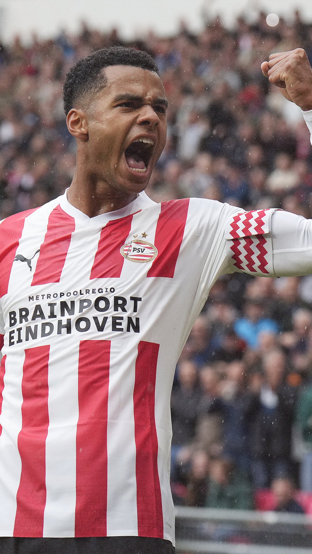 psv black and orange