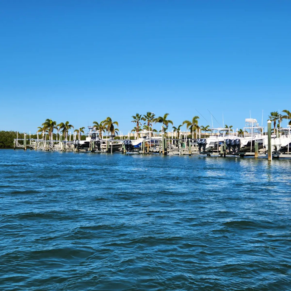 Patsy Stewart tweet media