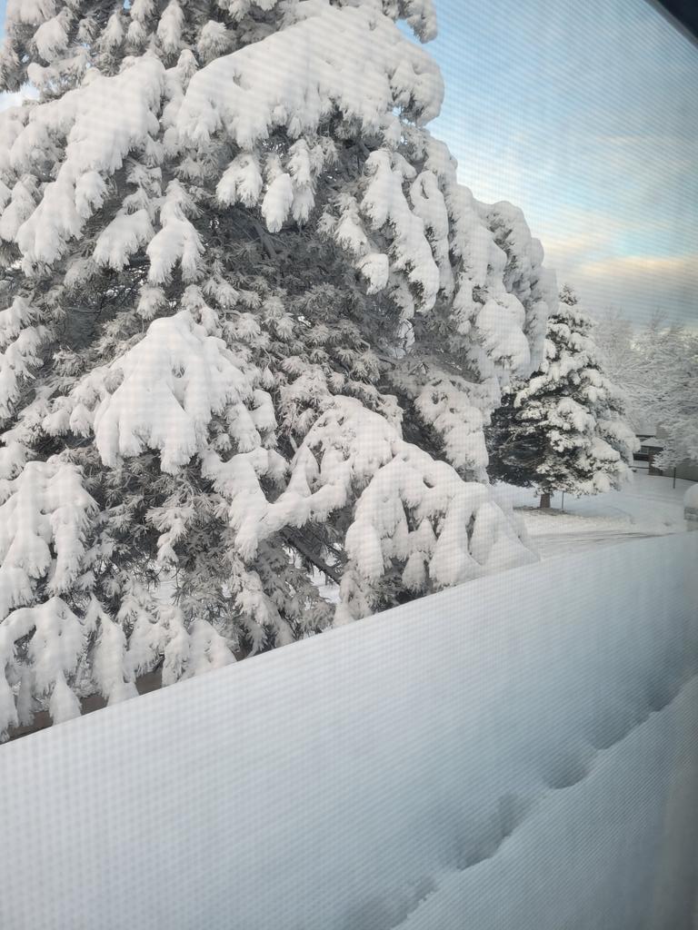 Charlie Charm on Twitter: