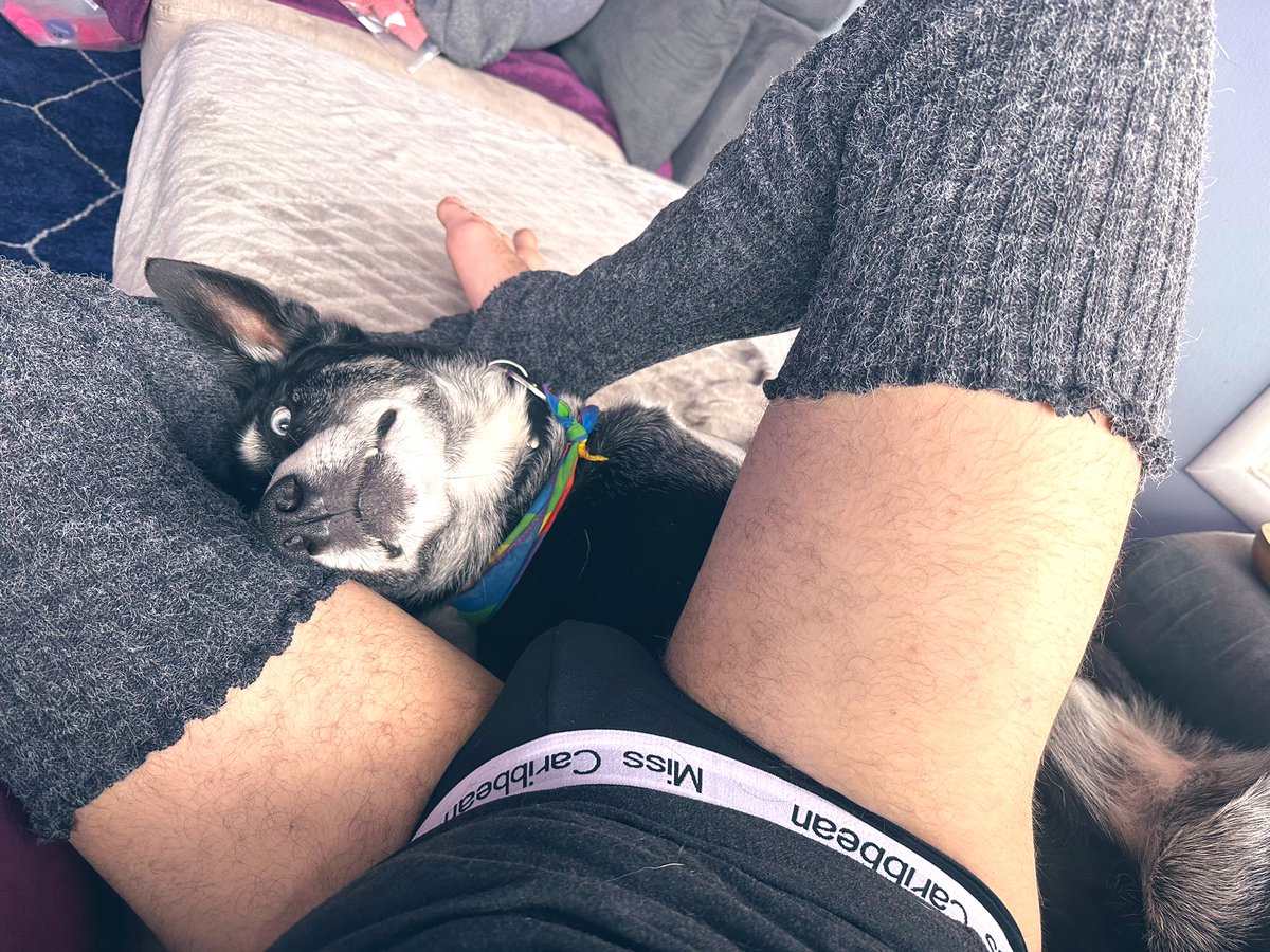 When your hot girl vibes attract a clingy admirer.