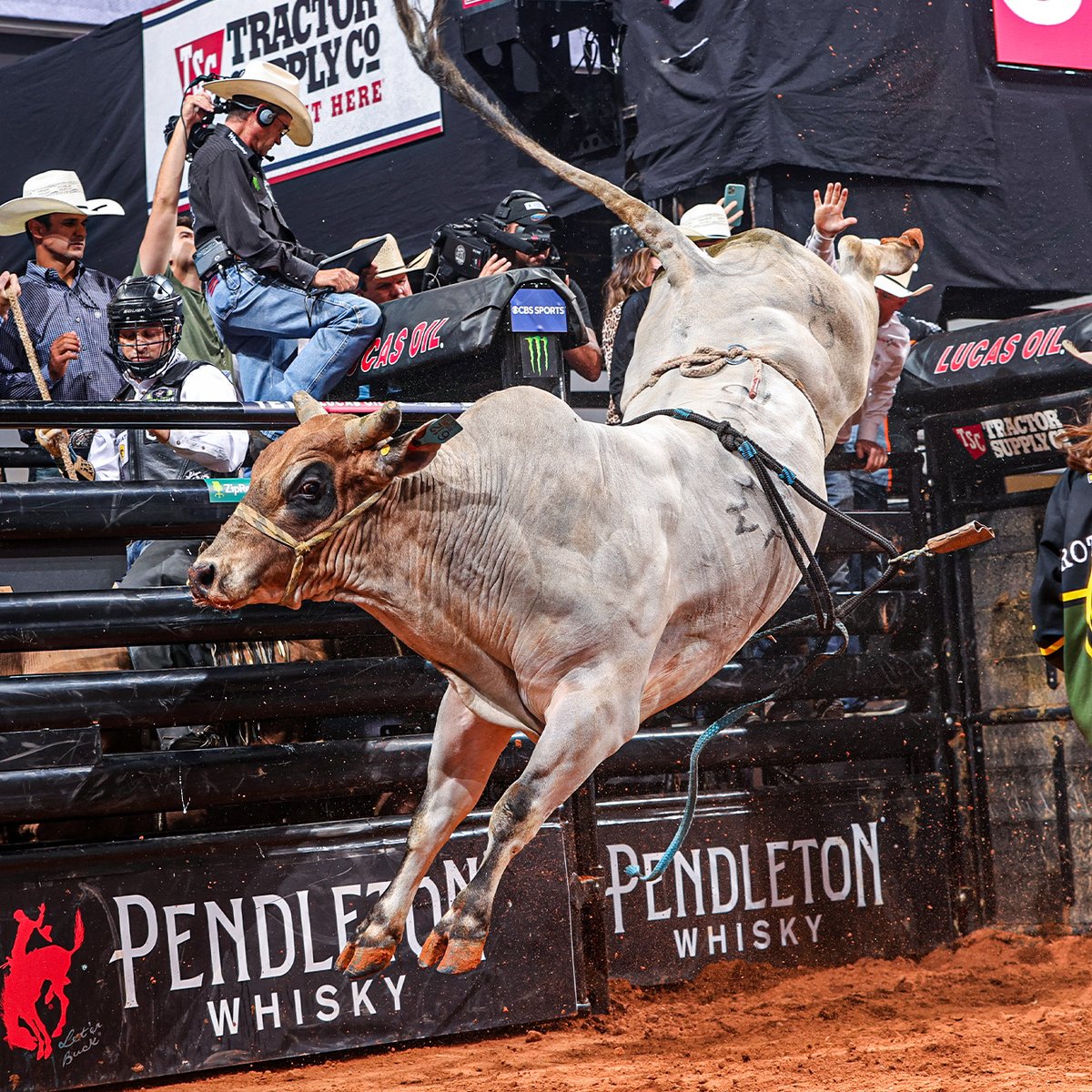 PBR on Twitter "The bull power on the premier series just got a whole